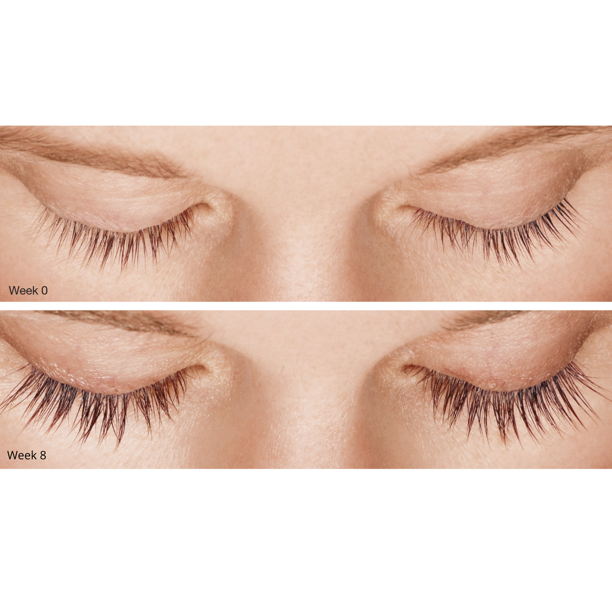 COSTIQ® LASH SERUM